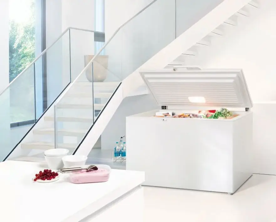 Chest Freezer or Upright Freezer