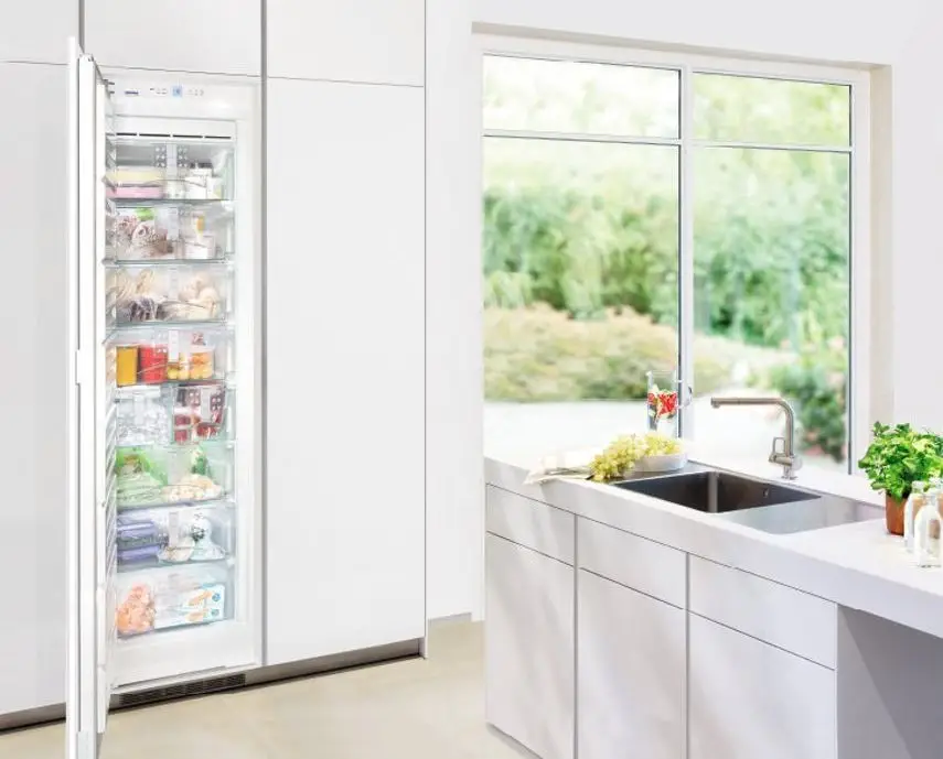 Free-standing and built-in appliances
