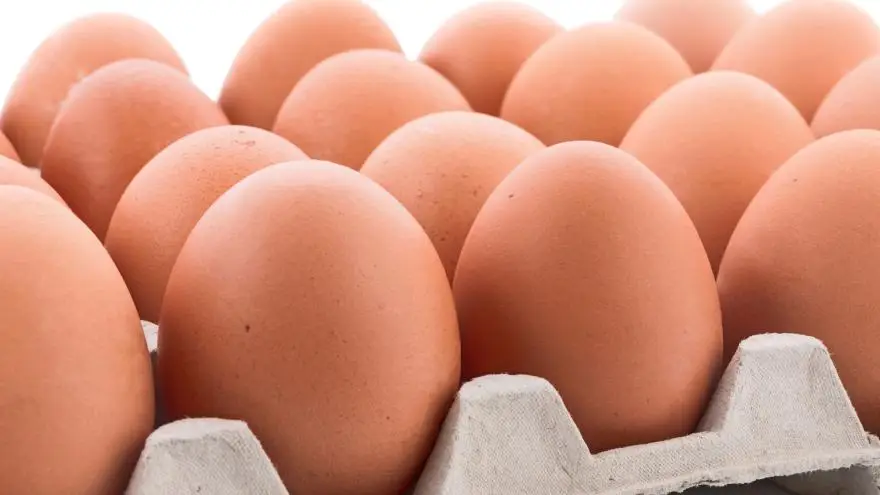 Fresh Eggs