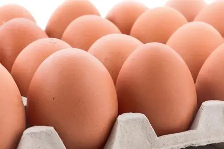 fresh eggs 450x300