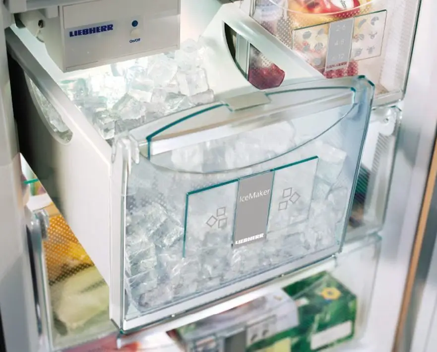 Ice maker