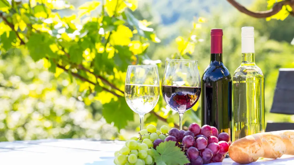 Important Criteria When Buying a Wine Refrigerator